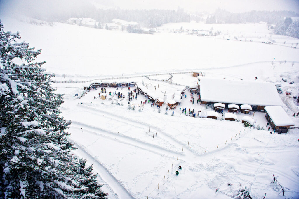 Winter in der Waldwelt