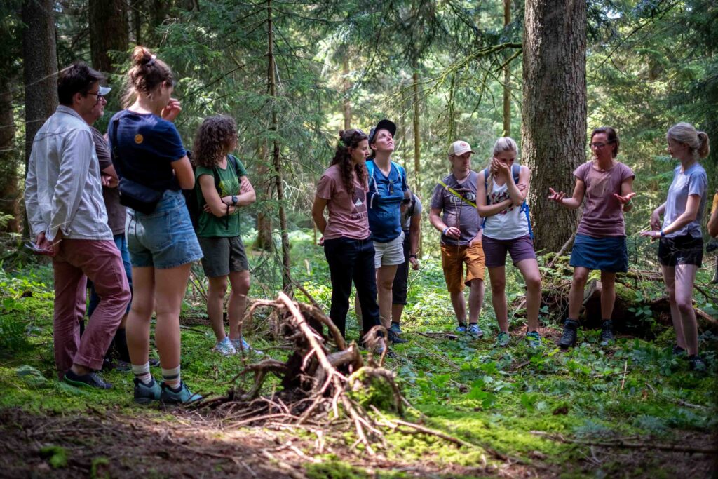 Foto Gruppe im Wald