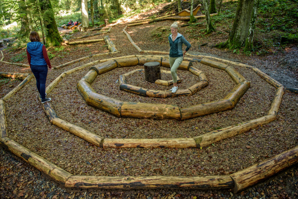 Lebensspirale im Waldbaden-Areal