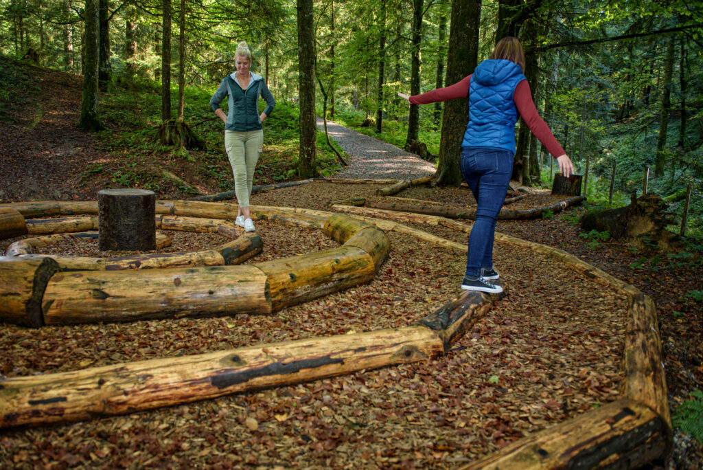 Lebensspirale im Waldbaden-Areal