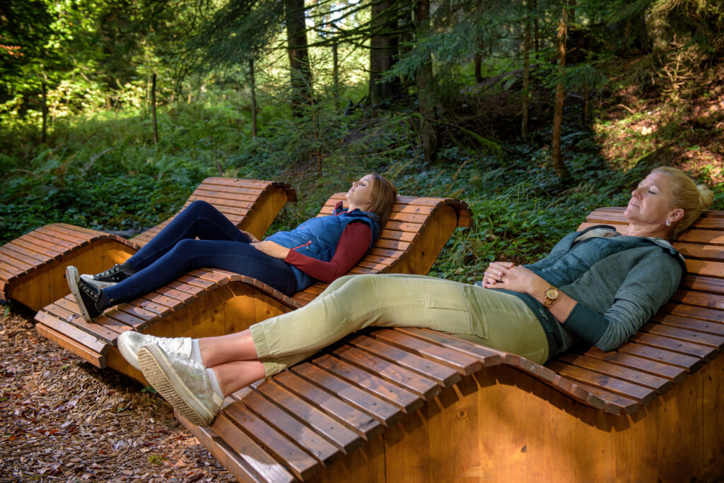 Entspannungszone im Waldbaden Areal